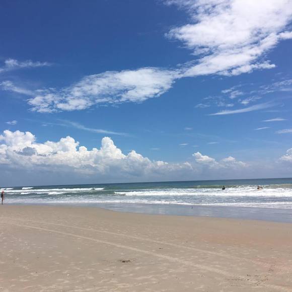 Meet your Posher, Alexis - Picture 1 of 1